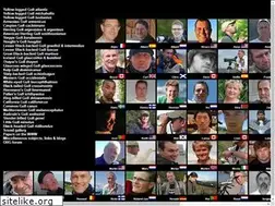 Sites similar to gull-research.org