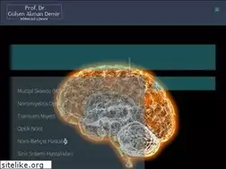 Sites similar to gulsenakmandemir.com