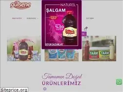 Sites similar to gulsene.com.tr