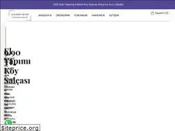 Sites similar to gulsenteyze.com