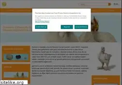 Sites similar to gumboro.com.tr