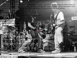 Sites similar to gumpfiction.com