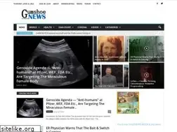 Sites similar to gumshoenews.com