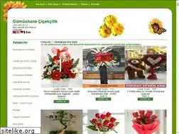 Sites similar to gumushanecicek.com