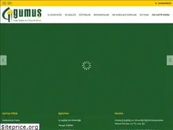Sites similar to gumusosgb.com