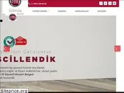 Sites similar to gumusotomotiv.com.tr