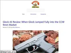 Sites similar to gunandshooter.com