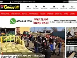 Sites similar to gunaydingazetesi.com