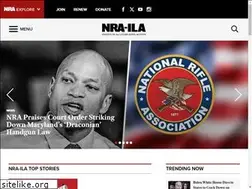 Sites similar to gunbanobama.com