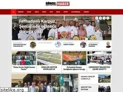 Sites similar to guncelhabergazetesi.com