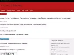 Sites similar to guncelhaberleri.com