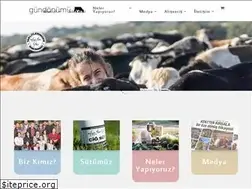 Sites similar to gundonumu.biz.tr