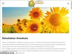 Sites similar to gunebakan.k12.tr