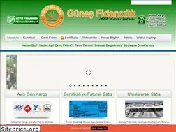 Sites similar to gunesfidancilik.com.tr