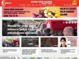 Sites similar to guneydenhaber.com