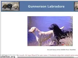 Sites similar to gunnersonlabs.com