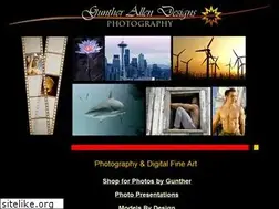 Sites similar to guntherallendesigns.com