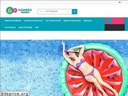 Sites similar to gurbuzoyuncak.com