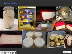 Sites similar to gurkan.wordpress.com