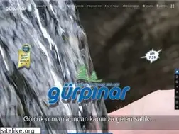 Sites similar to gurpinarsu.com.tr