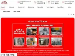 Sites similar to gursahaliyikama.com
