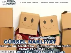 Sites similar to gurselevdenevenakliyat.com