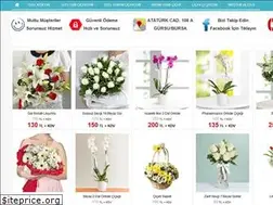 Sites similar to gursucicekci.com