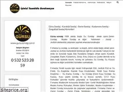 Sites similar to gursusondaj.com.tr