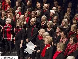 Sites similar to gurtlushchoir.com