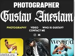 Sites similar to gustavanestam.com