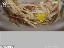 Sites similar to gustu.bo