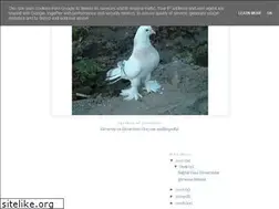 Sites similar to guvercin-guvercinci.blogspot.com