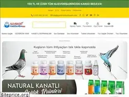 Sites similar to guvercinhastanem.com