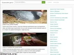 Sites similar to guvercinler.gen.tr