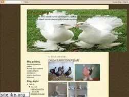 Sites similar to guvercinsayfam.blogspot.com