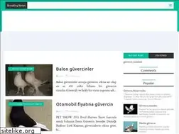Sites similar to guvercinvekeklik.blogspot.com