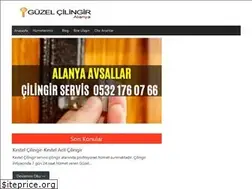 Sites similar to guzelcilingir.com