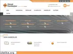 Sites similar to guzelkardesler.com