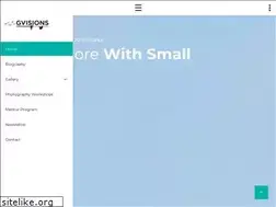 Sites similar to gvisions.org