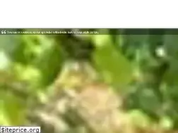 Sites similar to gvorthodontics.com.au