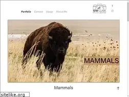 Sites similar to gwclark.com