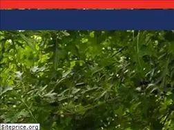 Sites similar to gwsc.vic.edu.au