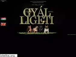 Sites similar to gyalligeti.hu