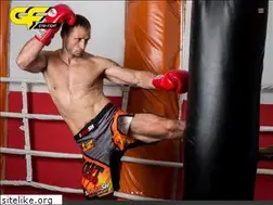 Sites similar to gymfight.pl