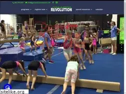 Sites similar to gymnasticsrevolution.com