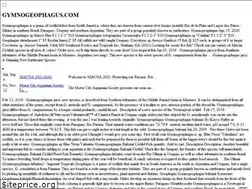 Sites similar to gymnogeophagus.com