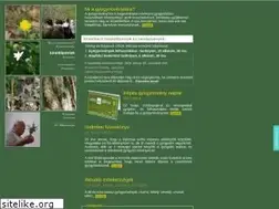 Sites similar to gyogynovenyturak.hu