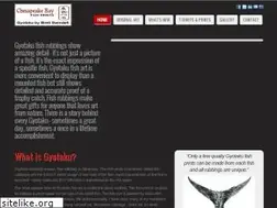 Sites similar to gyotakufishprints.com