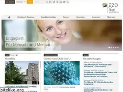 Sites similar to gzo.ch
