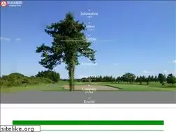 Sites similar to h-abiko-cc.com
